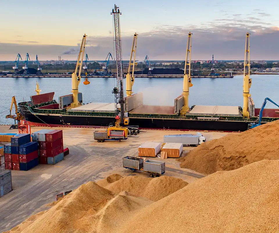Agricultural commodity export at port